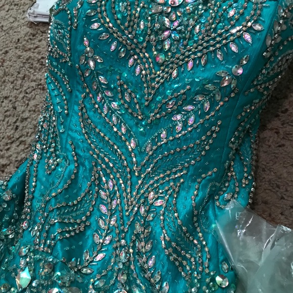 Quinceañera Dress - Picture 5 of 7
